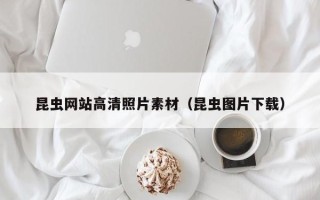 六盘水昆虫网站高清照片素材（昆虫图片下载）